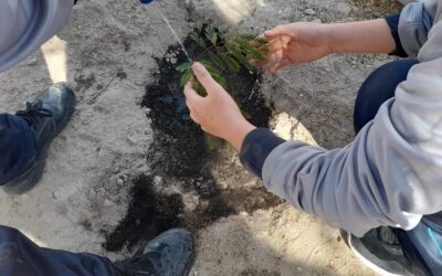 ACTIVIDAD DE VINCULACIÓN COMUNITARIA «JORNADA DE ARBORIZACIÓN»